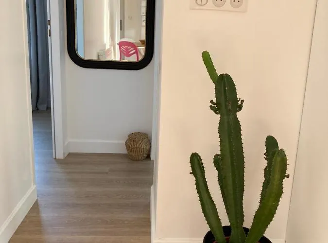 Hyper Centre Lumineux Avec Balcon Apartment *